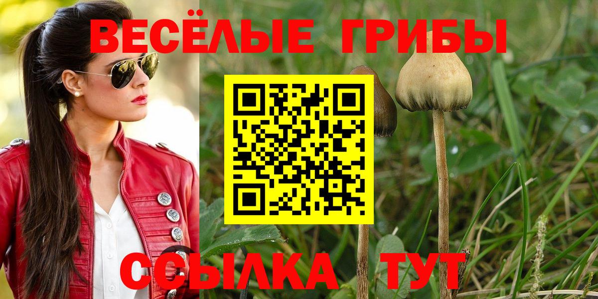 Сафоново  Псилоцибиновые грибы MAGIC MUSHROOMS  Вход с VPN 
