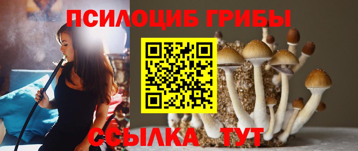 МЕФ кристаллы  Вход с VPN  Cocaine  Гашиш  Продажа наркотиков  ГАШ  Сафоново  МАРИХУАНА 